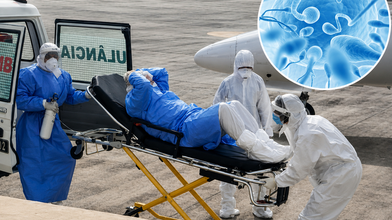 Você pode estar com hantavírus pensando que é gripe; entenda os sintomas